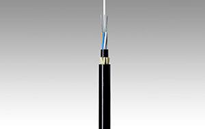 低水峰光纖G.652D